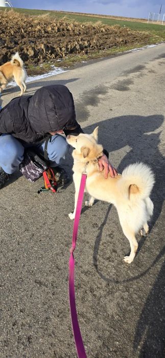 Amur i Bianca szukają wspólnego domu