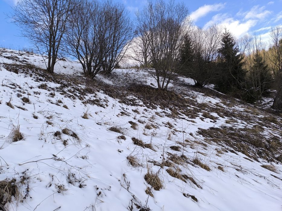 Можливий поділ  від 10 сотин