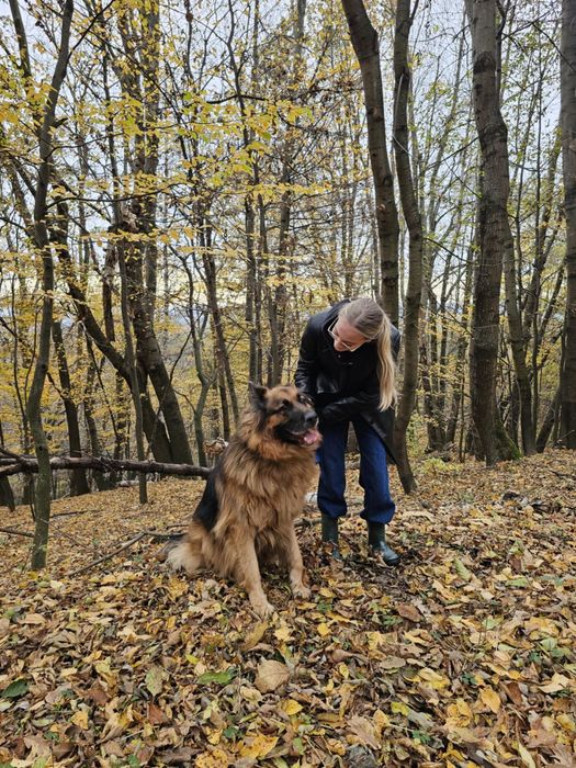 Trening psów Kraków