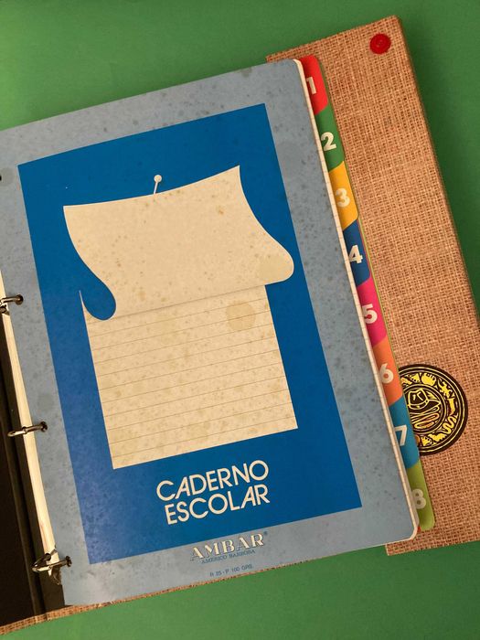 Dossier Escolar do Indiana Jones Anos 80 Ambar