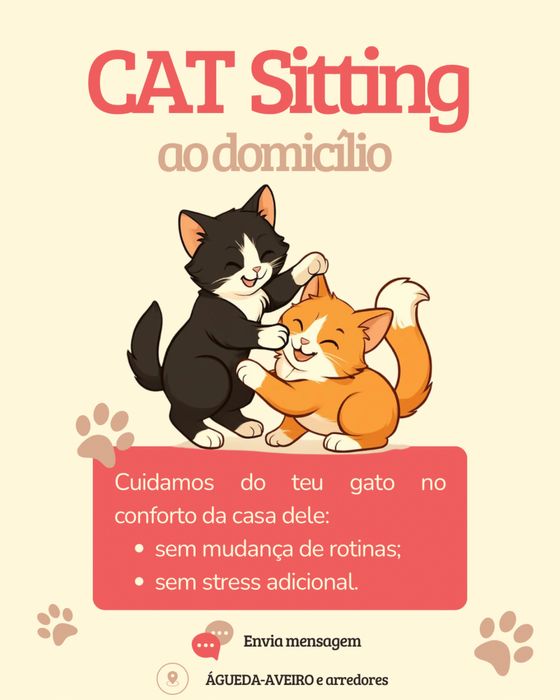 Cat Sitting Aveiro473101586840965122