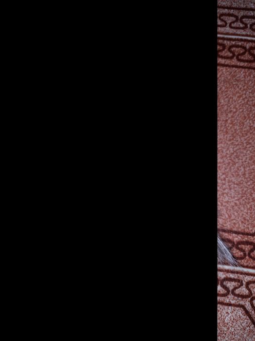 Голова, запчастини до ляльки барбі