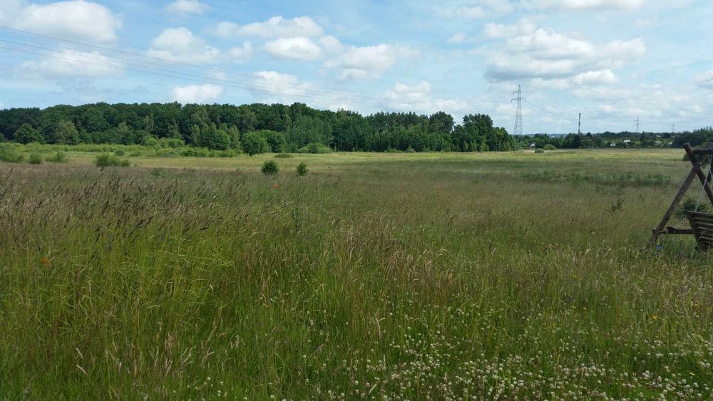 Działka Budowlana w Niekłonicach - Widok 3