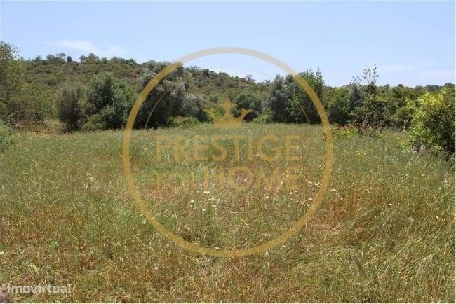 Terreno com 600 m2, situado em Campina (Loulé)