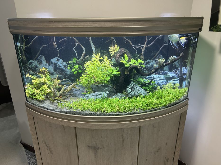 Aquario aquatlantis Panoramico 120x50x60