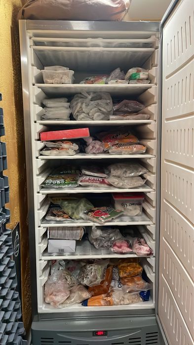 congelador industrial