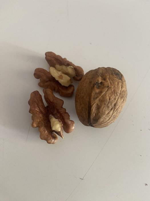 Cebula żółta, worki 15 kg i 5 kg