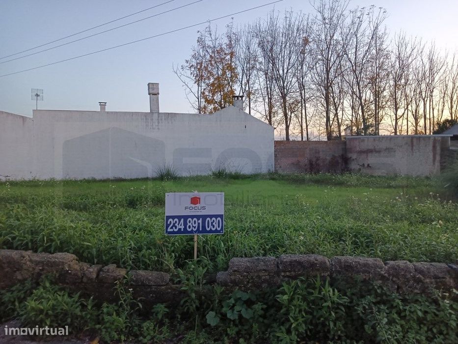Terreno com 31m de frente para venda Bustos - Oliveira do Bairro