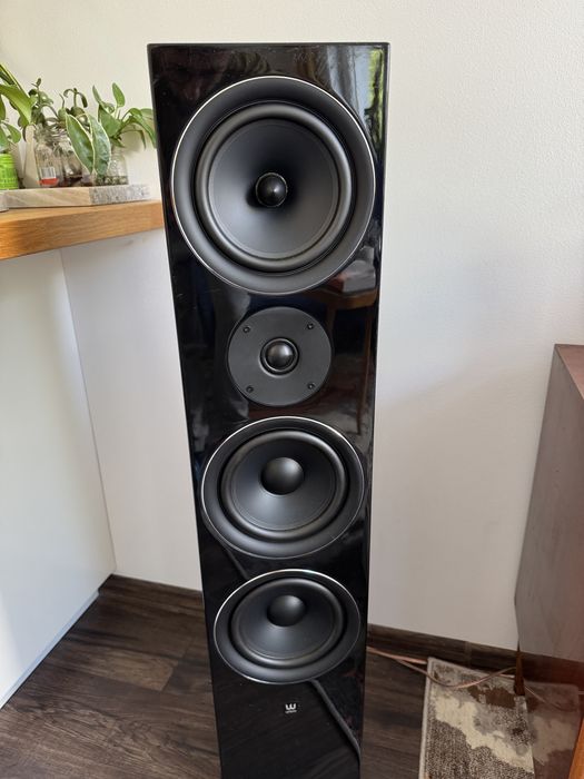 Wilson EL-10 kolumny frontowe