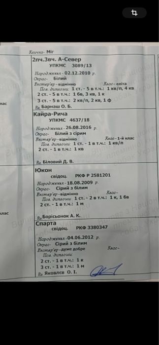Кобель на вязку Міг