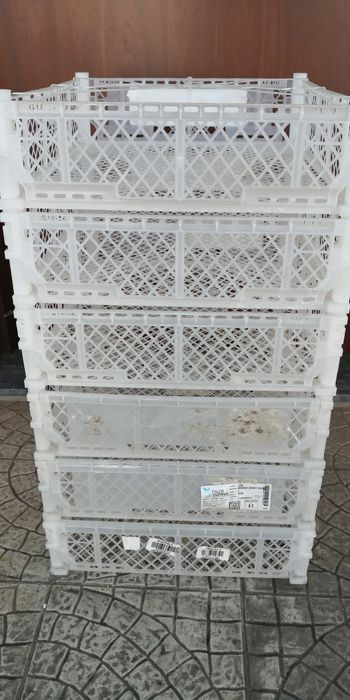 6 caixotes 51 cm X 40,5 cm X 11 cm