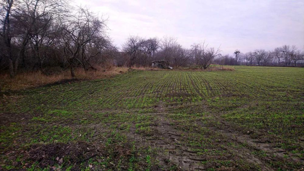 Терміново! Продається приватизована земельна ділянка (під будівництво)