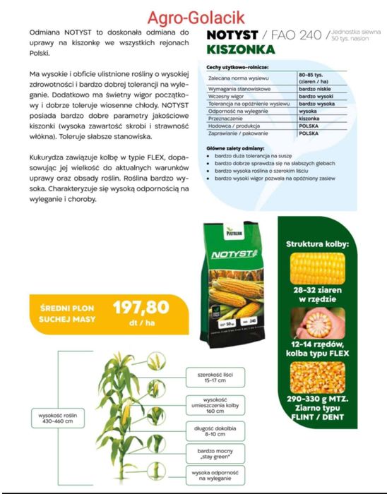 Kukurydza do siewu ! Polska ! Super cena