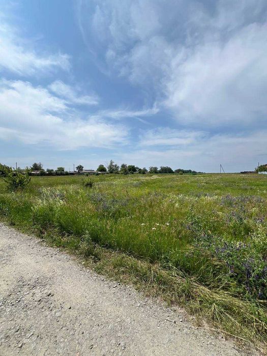 Продам земельну ділянку в Бородянці — 12,62 сотки (Під будівництво)