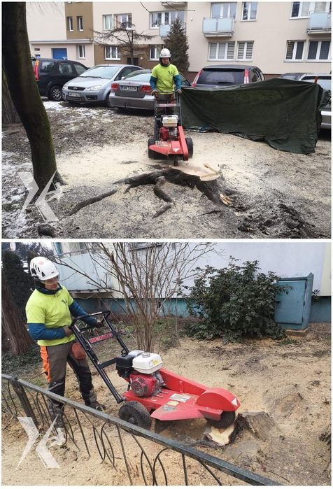 Usuwanie pni / frezowanie pni / karczowanie / frezarka Vermeer sc252