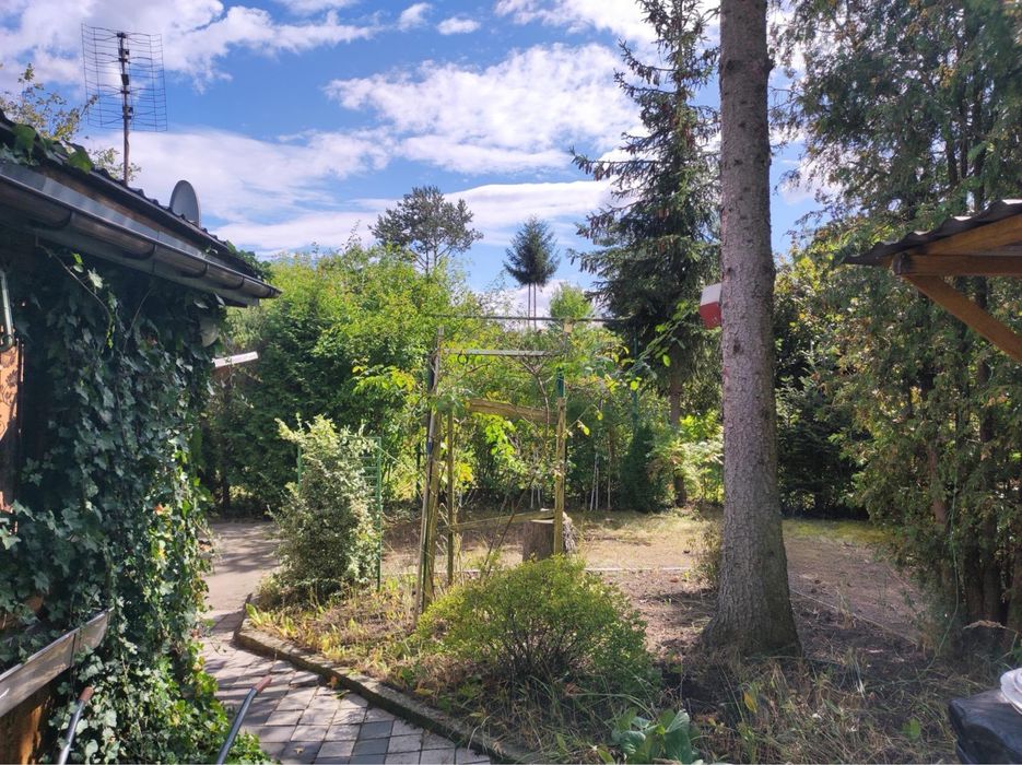 „Działka rekreacyjna ROD „Aronia” – 478 m² – Okuniew”