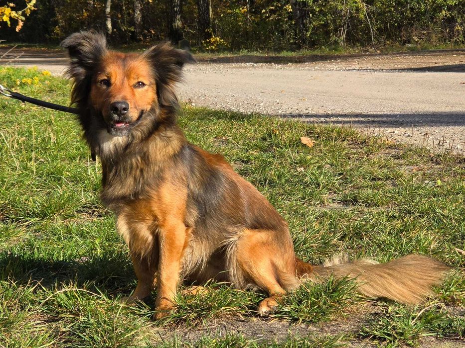 Gigi- prawdziwa piękność.
