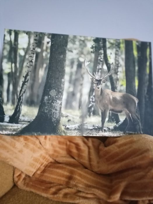 Obraz na płótnie widok