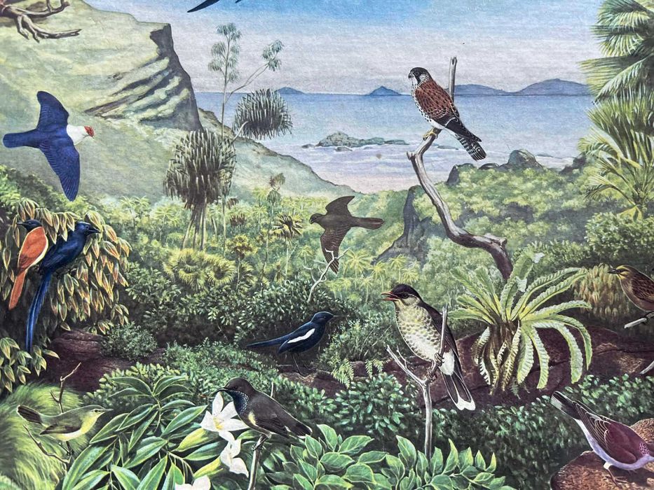 Stare puzzle James Hamolton ptaki 750