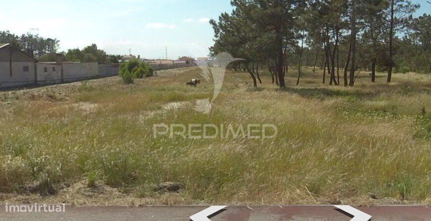 Plot of Land – Urban, Gafanha da Boa Hora