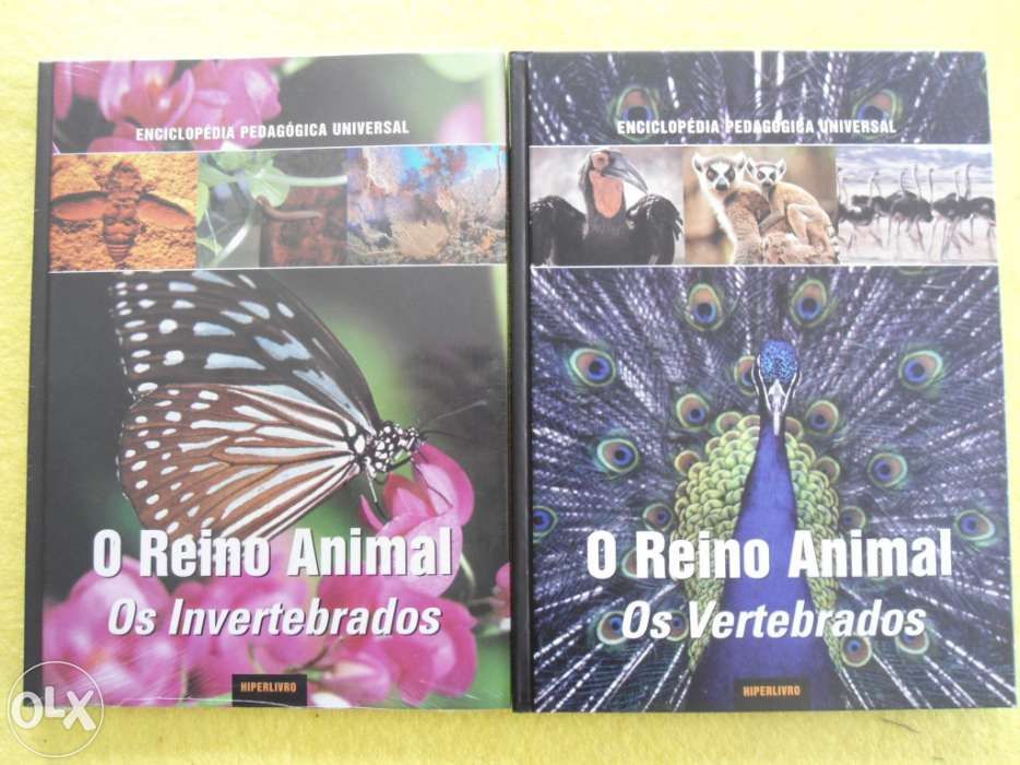 Vendo enciclopédia pedagógica universal