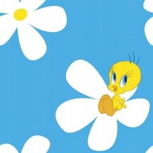 tapeta ptaszek TWEETY tweety! kanarek niebieska Looney Tunes