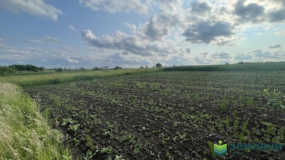 Продається ділянка 20 сот в с. Підлужжя (5)