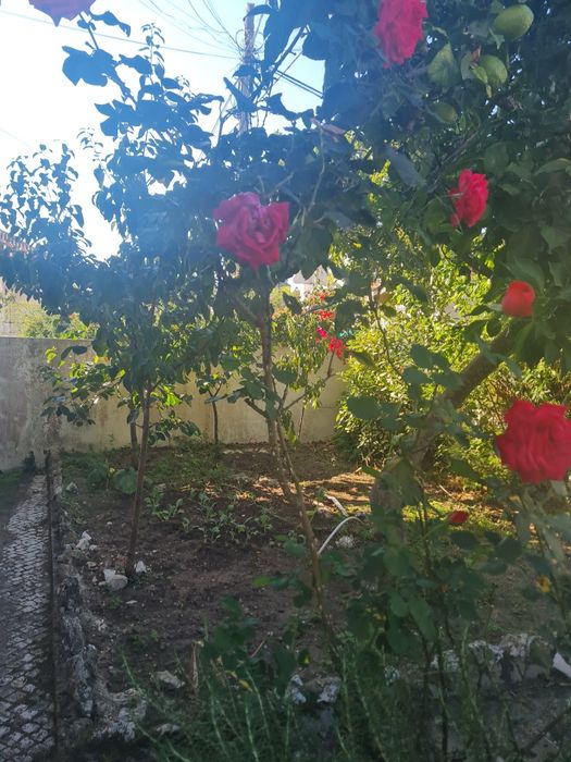 Quarto para alugar de solteiro 370€ em loures /lisboa