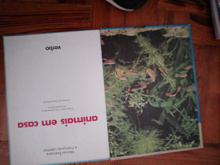 Catálogos antigos e modernos de leilões antiguidades e outros Desde 2E