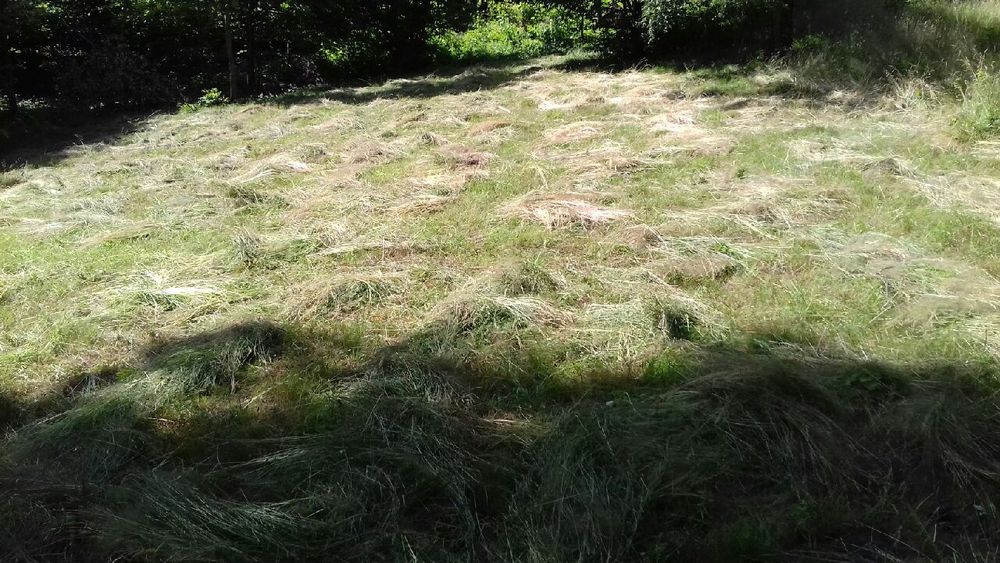 Działka rekreacyjna rolno-lesna własny kawał swiata
