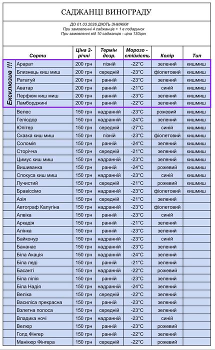 Саджанці винограду | 2 річні | Саженцы винограда | ОПТ та роздріб