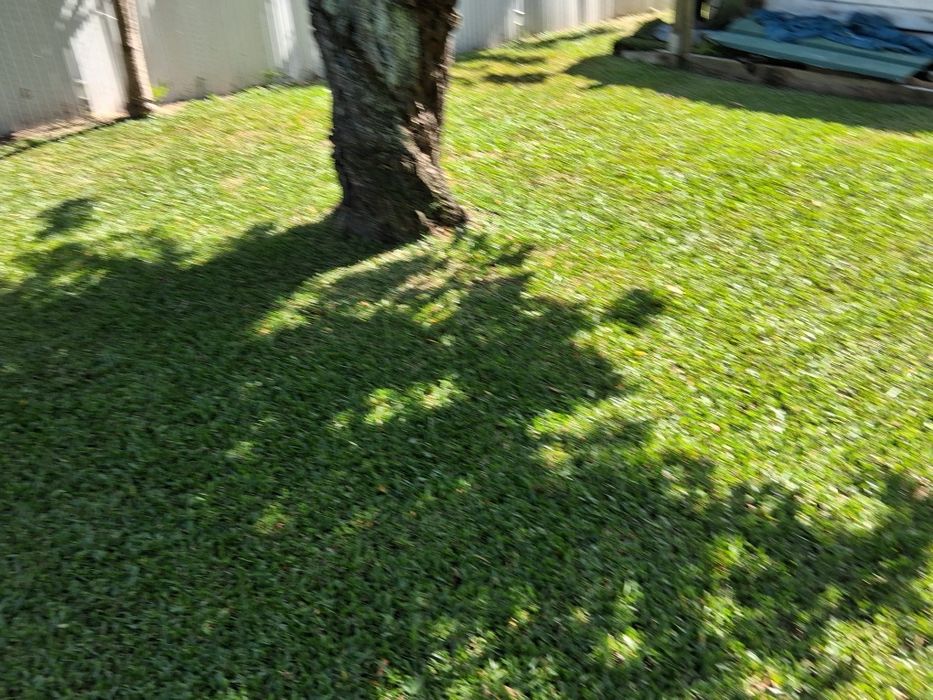 Jardineiro ao seu dispor