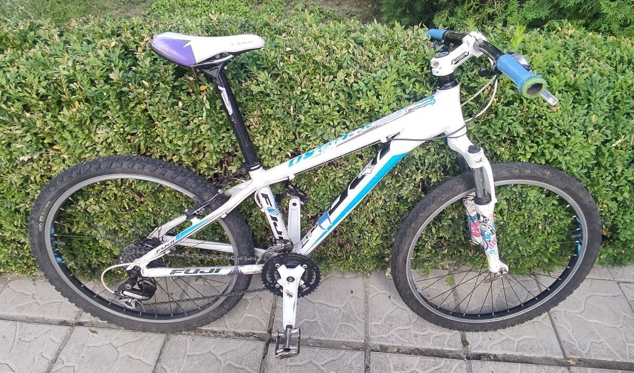 Fuji dynamite pro 24 hotsell