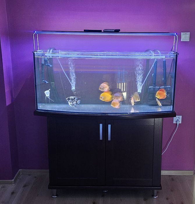 Akwarium Słodkowodne