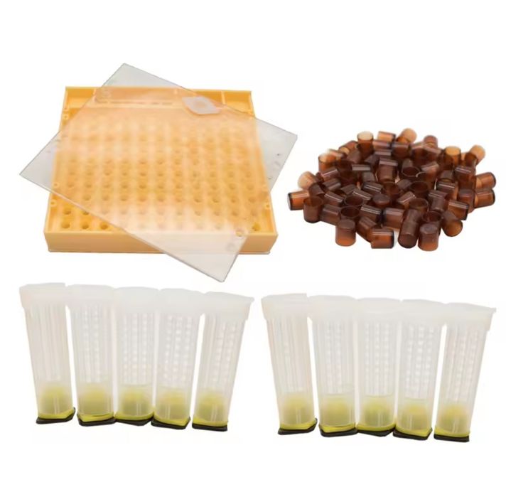 Zestaw do hodowli matek pszczelich Nicot