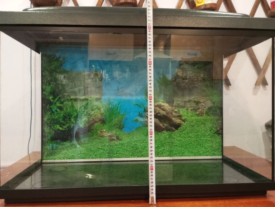 Акваріум,та рибки