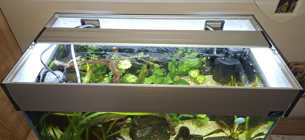 Akwarium 72l (60x40x30) z oświetleniem led i filtrami - rezerwacja
