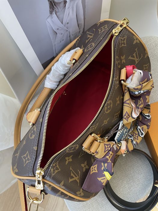 Сумка Louis Vuitton Speedy