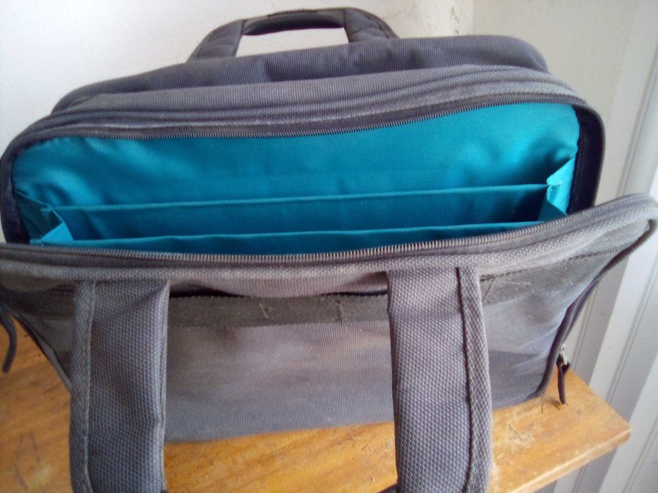 Mala profissional  mango tree