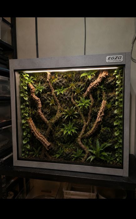 Okazja terrarium tropikalne dla gekona orzęsionego agamy błotnej żab boa pytona regiusa warana kameleona