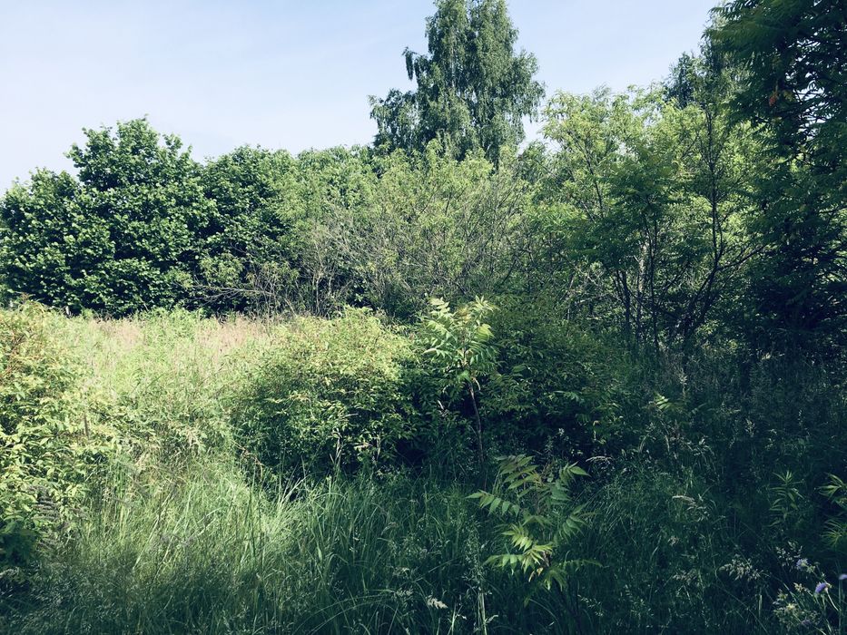 Земельна ділянка в Лісі 18сот. с.Вишнів, 10км.- Луцьк