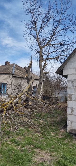 Зпилювання дерев, обрізка дерев