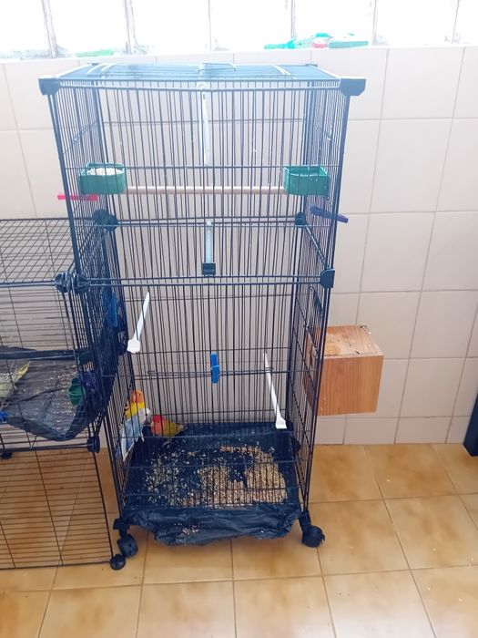 Gaiola para aves à venda