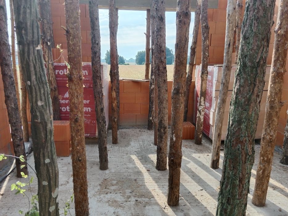 Stemple drewniane nowe