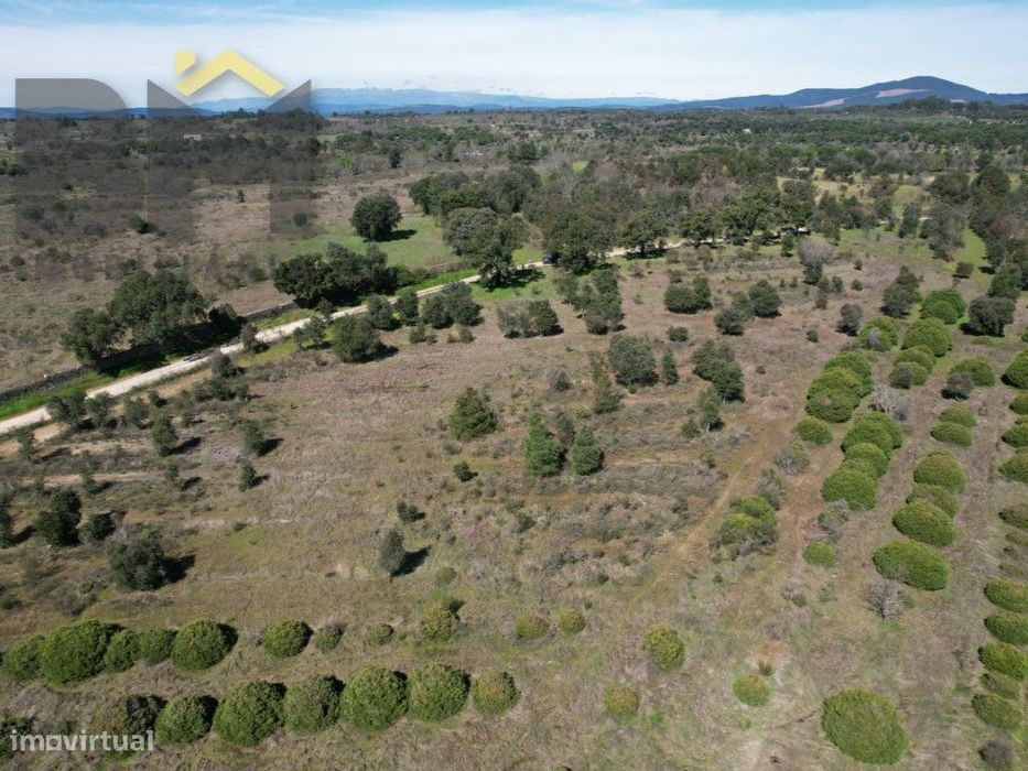 Terreno de 5,3 Hectares na Aldeia de Águas - Penamacor
