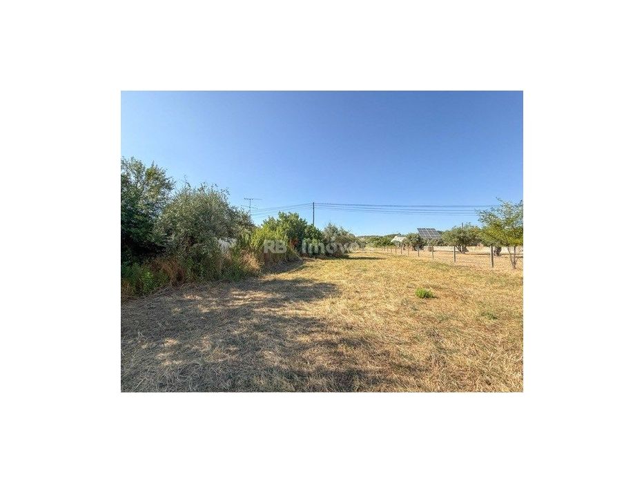 Terreno Rústico 6.120m² - Alferrarede Velha