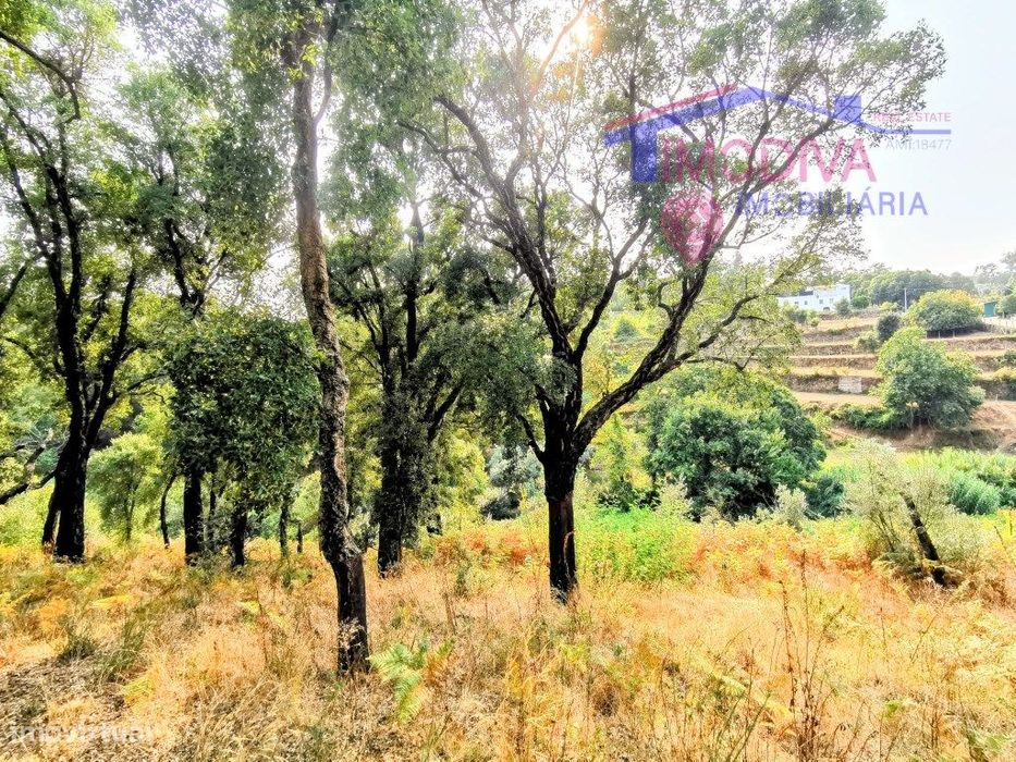Moradia T2 com terreno a confrontar com ribeira em Figueiró dos Vinhos