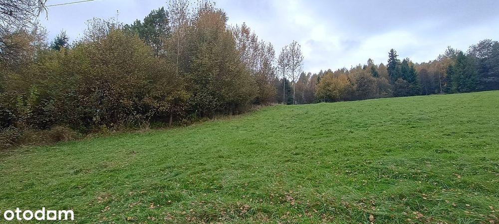 Nieruchomość - działki w Rajczy