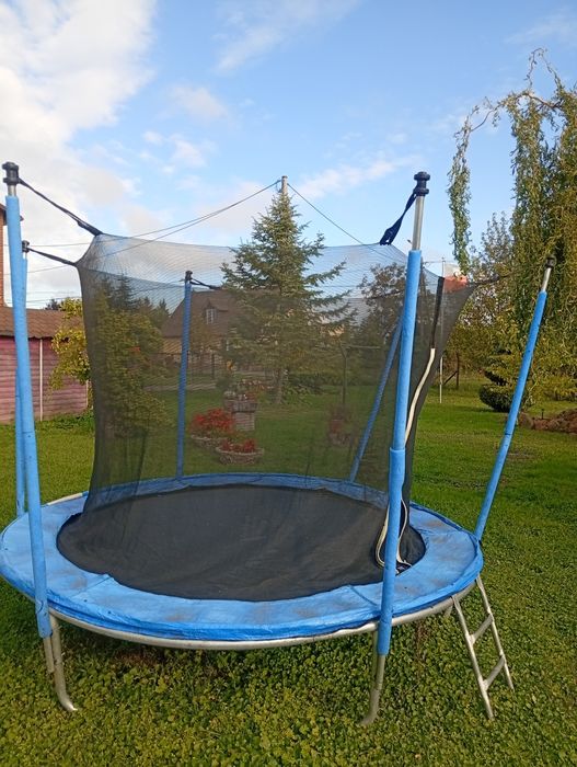 Trampolina z drabinką