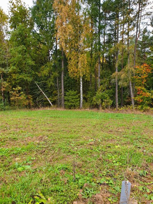 Działka w Przywidzu, 1005m2, obok lasu